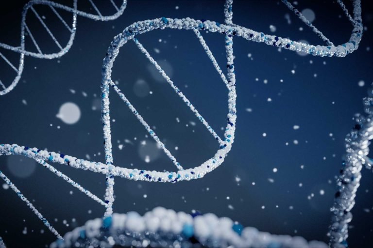 Seven Characteristics of DNA You May Not Know About