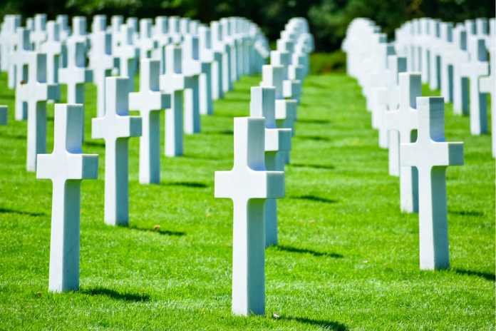 Video Evidence: 2000 Excess Deaths in NZ While Pfizer Vaccine Rolled Out