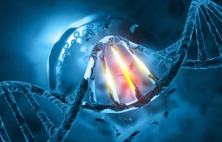 Cause of Death—Can it be Genetic Dysregulation?