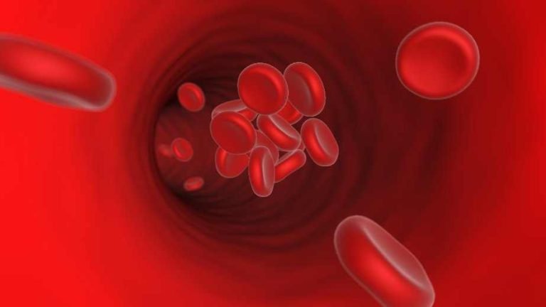 Is the Spike Protein Causative in Haemoglobin Disorders and Clotting?