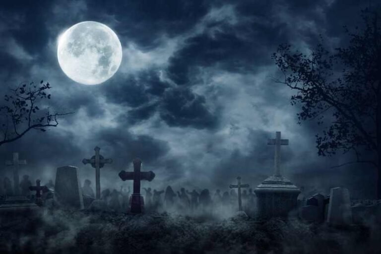 New Zealand is Stuck in the Dark Ages—Excess Mortality Trends in New Zealand and Overseas