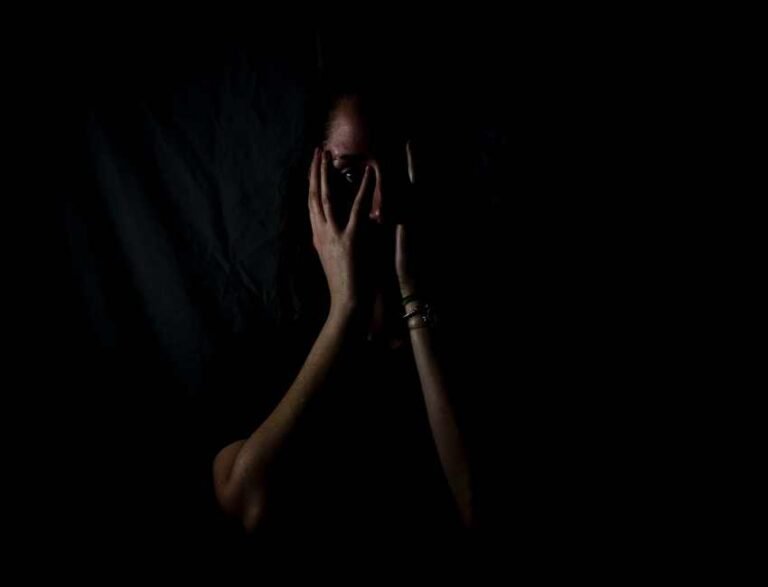 The Only Thing We Have to Fear is Fear Itself, and of Course Government Propaganda.