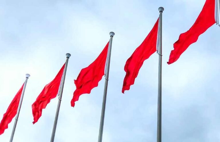 How Did the Medicines Regulatory System Fail Us So Badly?