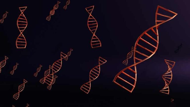 NZ Firsts Intention to Reach a  Gene Technology Bill Compromise Would Be a Grave Mistake