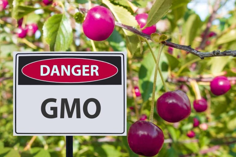 The Health Select Committee recommends the passage of the Gene Technology Bill