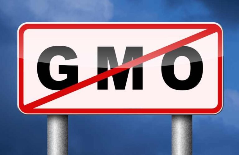 New Laws Are Urgently Needed to Outlaw Biotechnology Experimentation