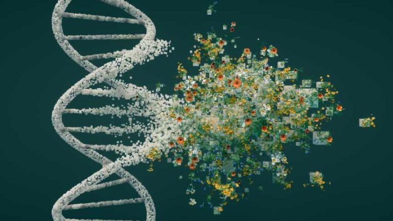 Warning—A Great Flood